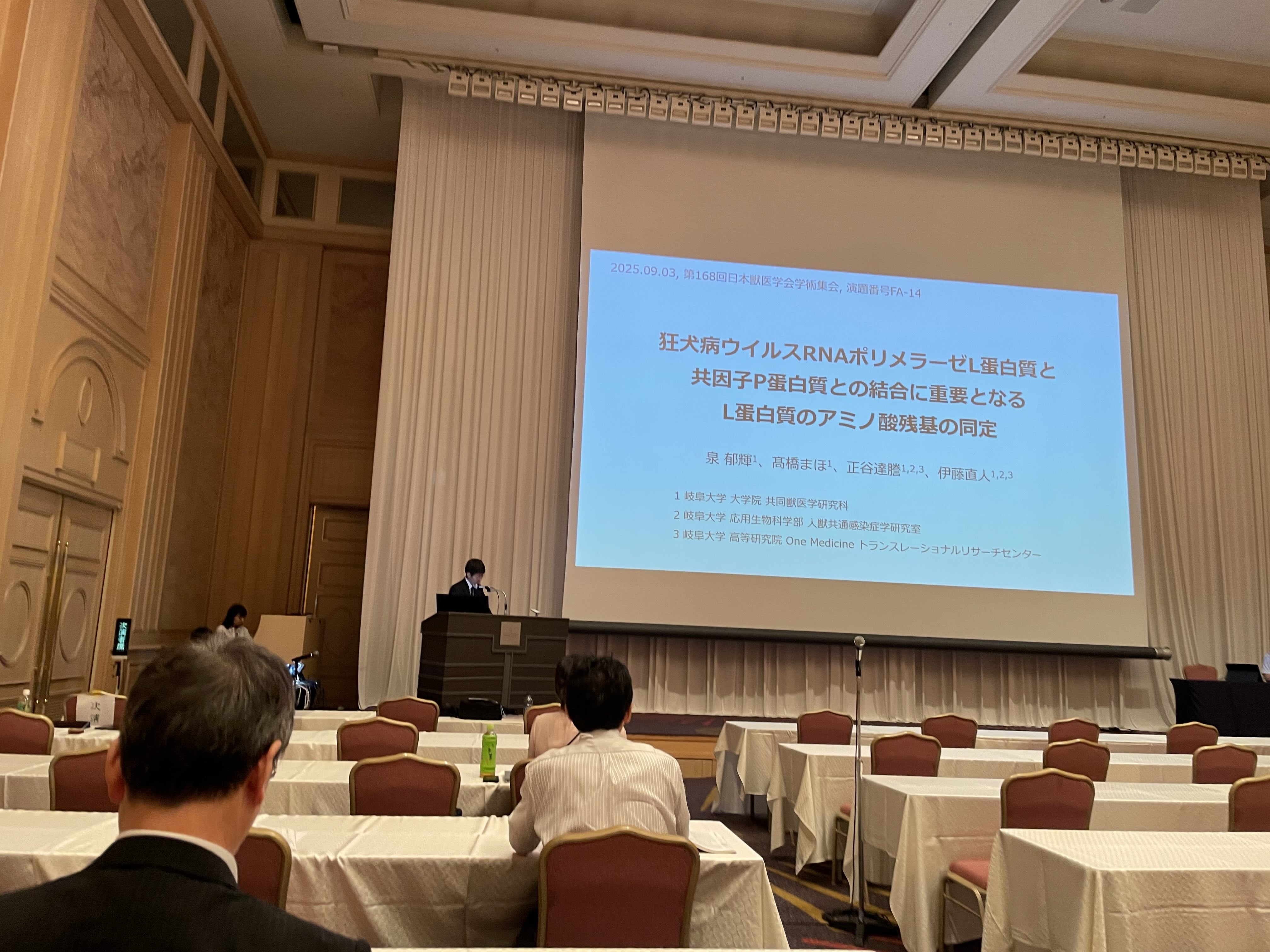 IMG_4355.HEIC.jpg