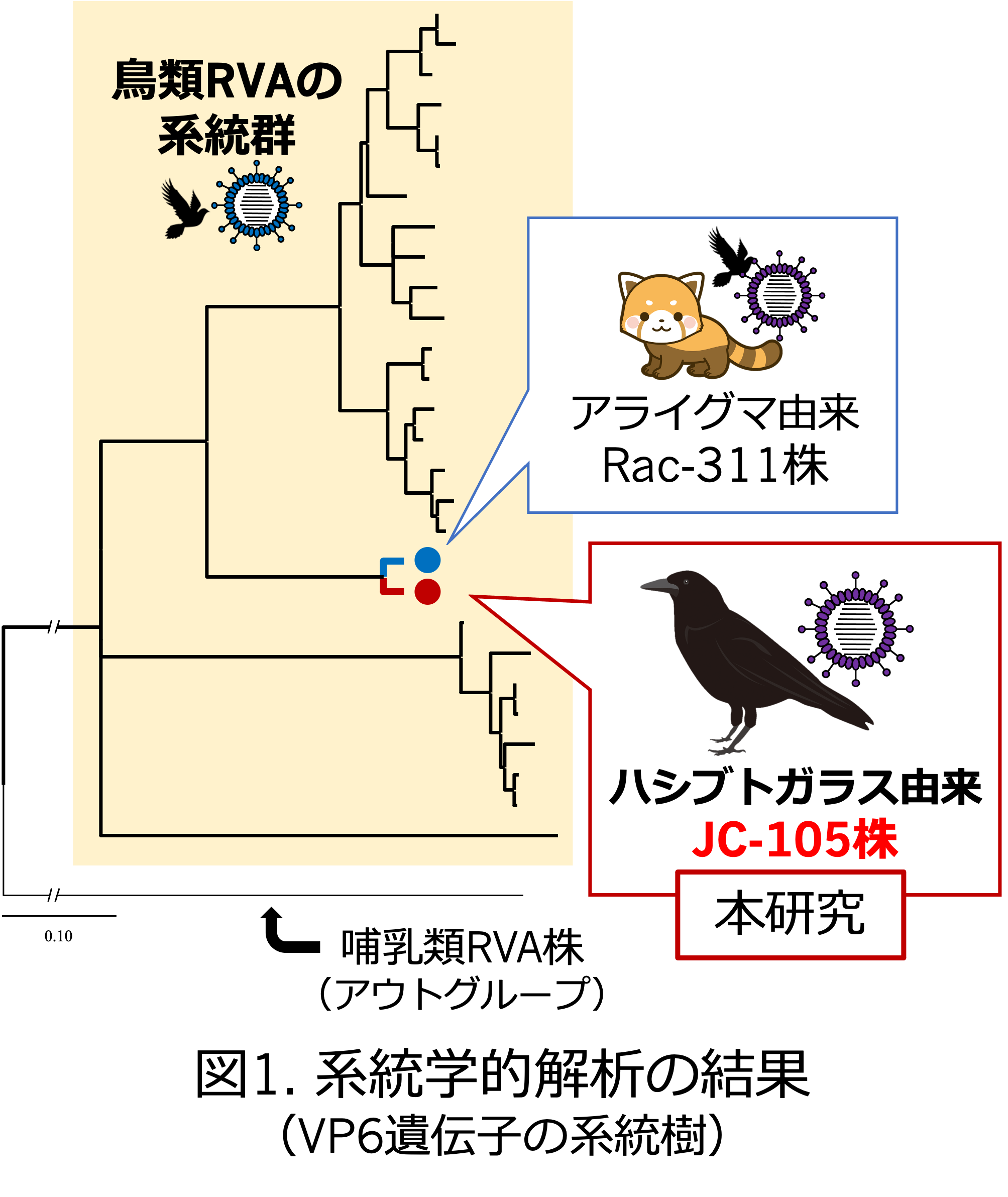 図1.png