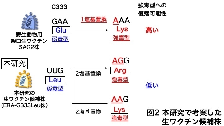 d431b66439552e845edd9ca709129490.jpg