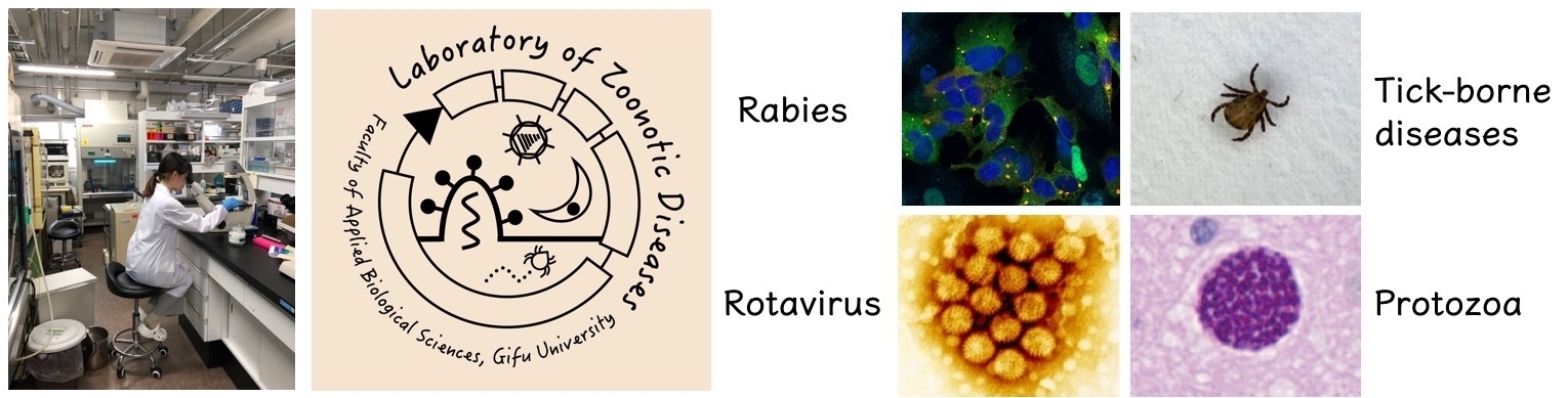 人獣共通感染症学研究室