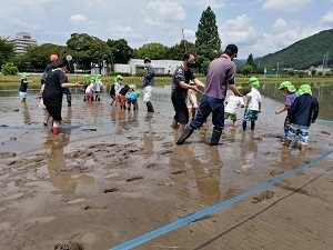 田植え体験の様子