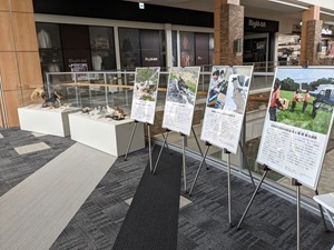 モレラ岐阜での展示の様子