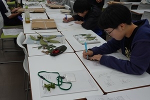 『さく葉標本づくりとスケッチを通じて樹木を観察しよう』講座の様子