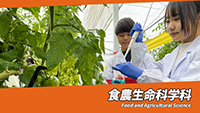 食農生命科学科