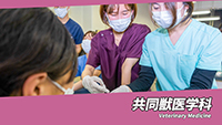 共同獣医学科