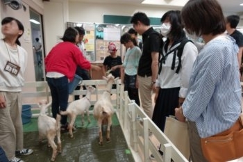 展示等による研究室紹介